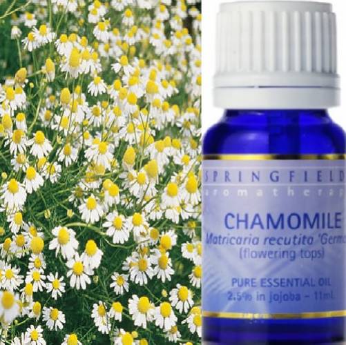 ORGANIC ESSENTIAL OIL CHAMOMILE GERMAN